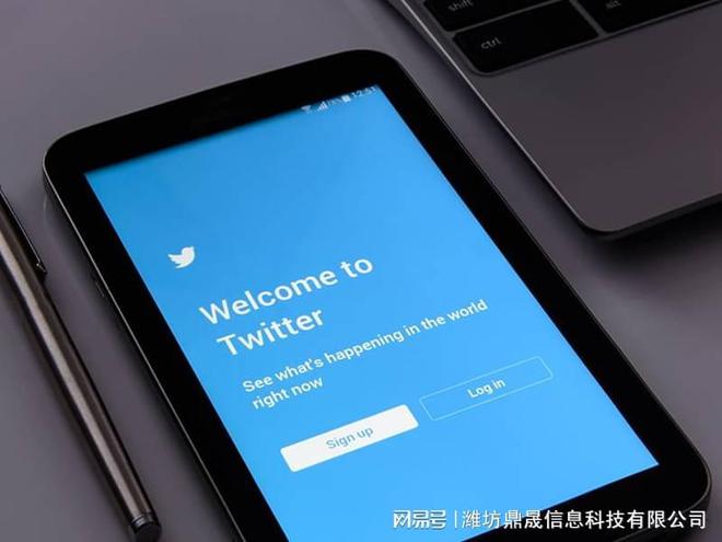 高密网站搜索引擎排名seo优化公司怎么找
