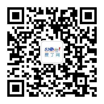 seo优化服务平台-百度排名优化-网站关键词seo首页-搜了网