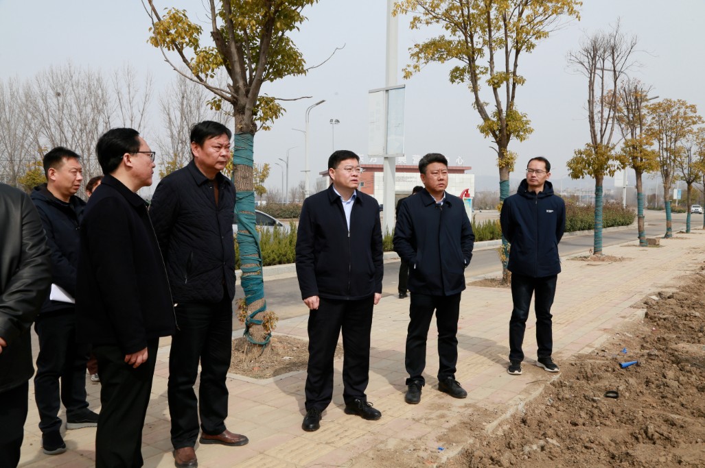 调研督导积水点改造和城乡大绿化工作(图4) 调研督导积水点改造和城乡大绿化工作(图4)