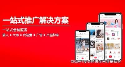 专业网站排名优化公司(图1)